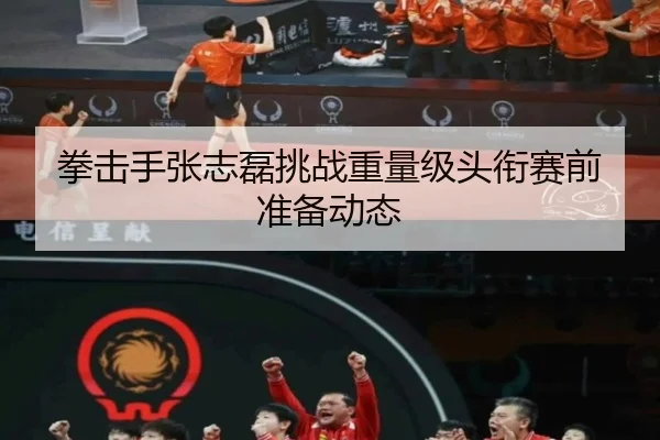 拳击手张志磊挑战重量级头衔赛前准备动态